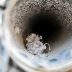 Dryer Vent Cleaning in Rancho Cucamonga CA