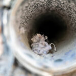 Professional Dryer Vent Cleaning in Bloomington CA, Fontana CA, Rancho Cucamonga CA